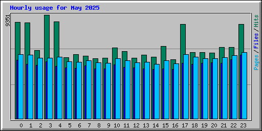 Hourly usage for May 2025