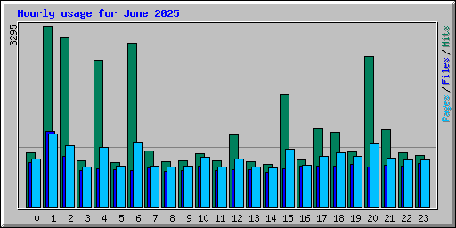 Hourly usage for June 2025