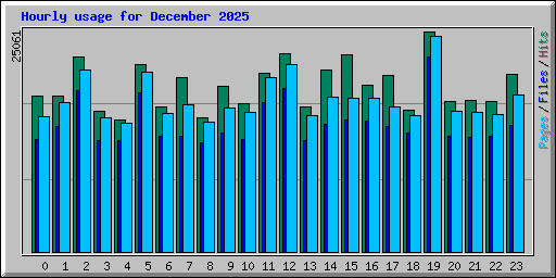 Hourly usage for December 2025