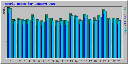 Hourly usage for January 2026