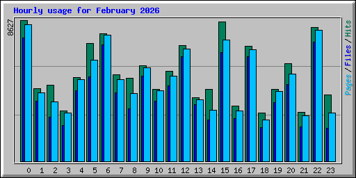 Hourly usage for February 2026